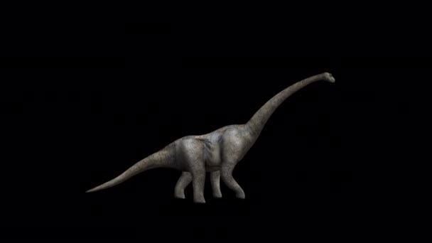 Huge Brontosaurus Walking Animation — Video