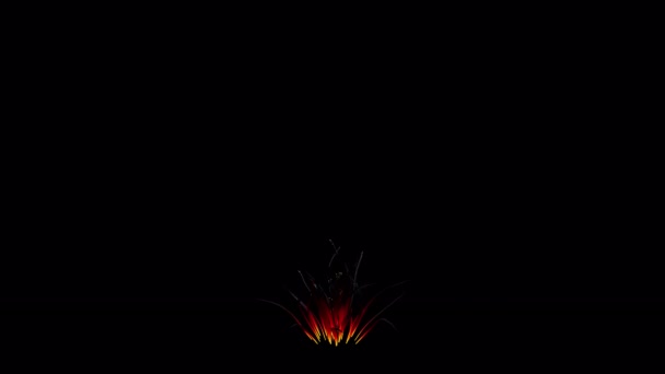 Fire Flowers Animation Transparent Alpha Background — 图库视频影像