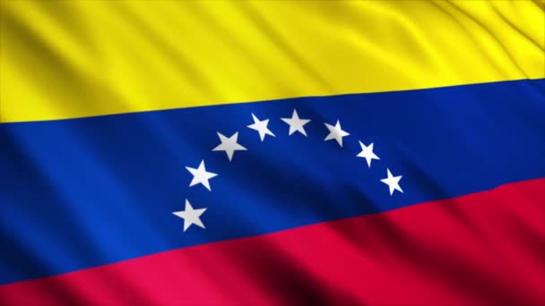 Bandera Venezuela Ondeando Viento — Vídeos de Stock
