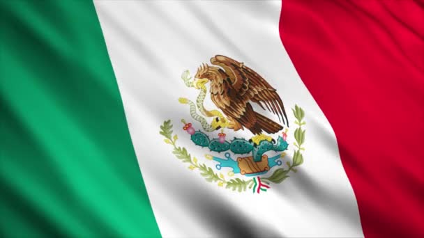 Messico Bandiera Sventola Nel Vento — Video Stock