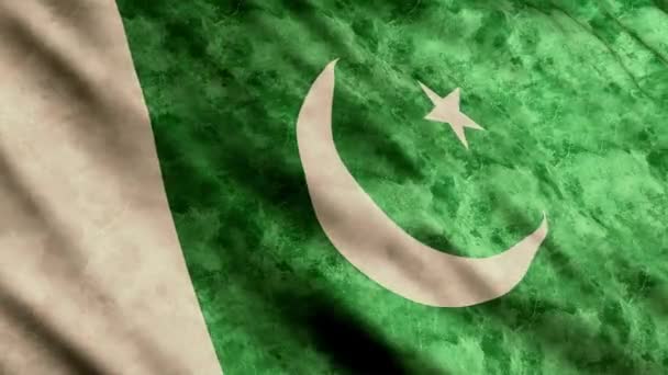 Pakistan Drapeau Agitant Dans Vent Version Grunge — Video