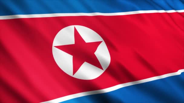 Bandiera Della Corea Del Nord Sventola Nel Vento — Video Stock