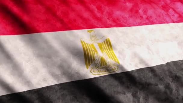 Egypte Drapeau Agitant Dans Vent Version Grunge — Video