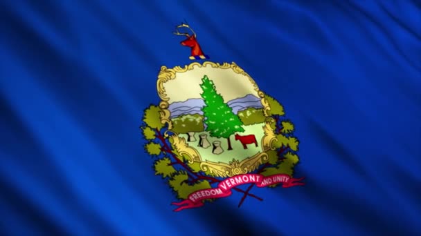 Vermont State Flag Waving Wind — 图库视频影像