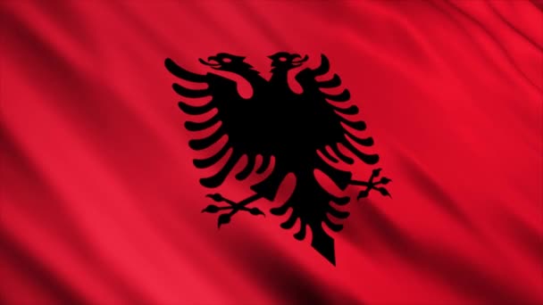 在风中挥舞着的阿尔巴尼亚旗 — 图库视频影像