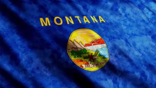 Montana State Flag Waving Wind Grunge Version — 图库视频影像
