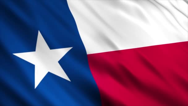 Texas State Flag Waving Wind — Stok Video