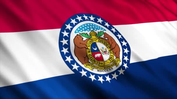 Missouri State Flag Waving Wind — Vídeo de stock