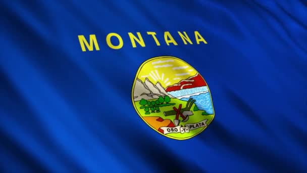 Montana State Flag Waving Wind — 图库视频影像