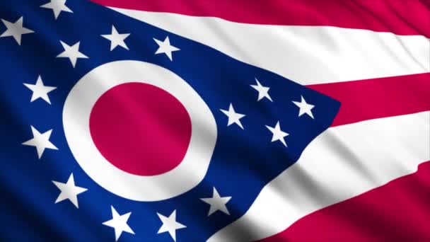 Ohio State Flag Sventola Nel Vento — Video Stock