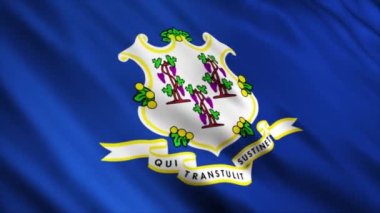 Connecticut Eyalet Bayrağı rüzgarda dalgalanıyor