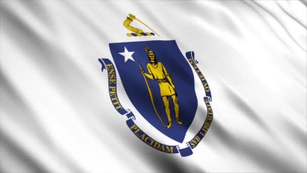 Massachusetts State Flag Waving Wind — Stok video