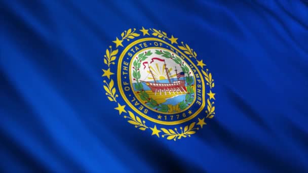 New Hampshire State Flag Waving Wind — 图库视频影像