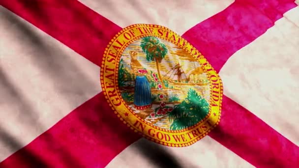 Florida State Flag Waving Wind Grunge Version — Vídeo de Stock