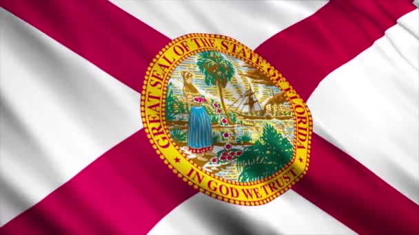 Bandeira Estado Flórida Acenando Vento — Vídeo de Stock