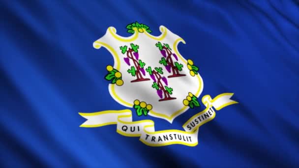 Connecticut State Flag Waving Wind — Stok Video