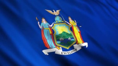 New York Eyaleti Bayrağı rüzgarda dalgalanıyor