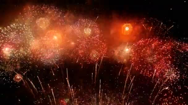Background Colorful Fireworks Particle Light Looped — Stockvideo
