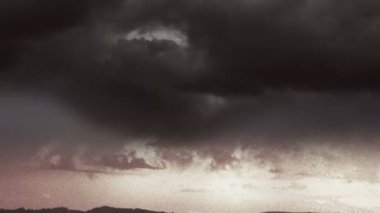 Palm Trees Günbatımı Arkaplan Canlandırması