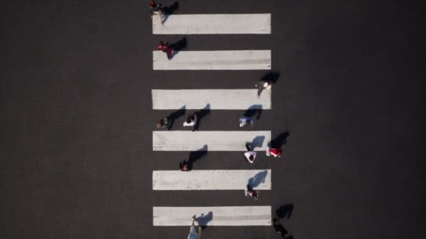 Pessoas Andando Sobre Crosswalk Fundo Vídeo Animação — Vídeo de Stock