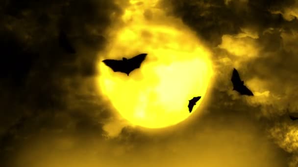 Notte Halloween Con Pipistrelli Che Volano — Video Stock