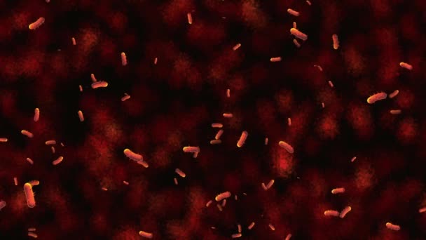 Bactérias Micro Organismos Animação Fundo — Vídeo de Stock