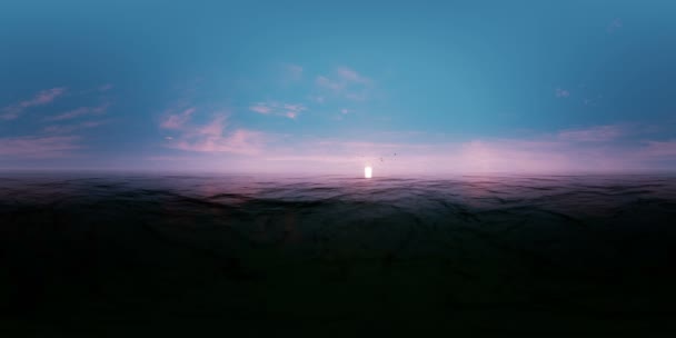 360 Degree Panorama Ocean Sunset Seagulls — Stockvideo