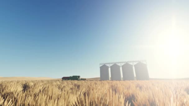 Grain Silos Animação Tarde — Vídeo de Stock