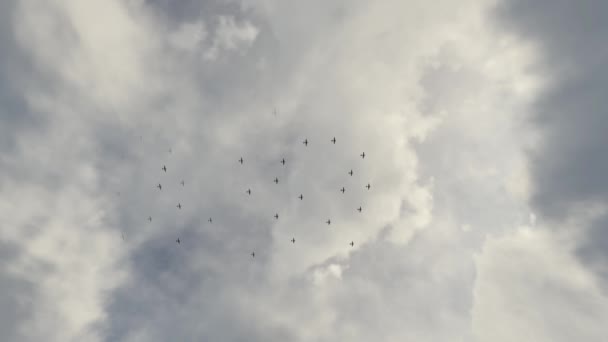 Bomber Planes Animation Flying Sky — Stockvideo