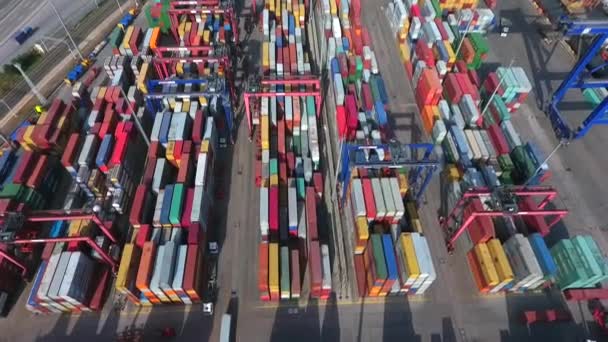 Containerschepen Zijn Vrachtschepen Die Hun Lading Vrachtwagengrootte Vervoeren — Stockvideo