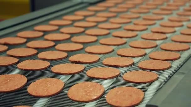 Burger Factory Burger Machines Working Tirelessly — Stock video