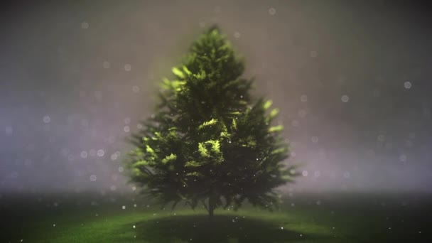 Magic Dreamy Christmas Pine Tree Background Elegant Particles — Vídeo de stock