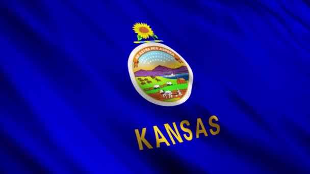 Kansas State Flag Waving Wind — Stok Video