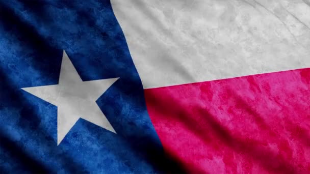 Texas State Flag Waving Wind Grunge Version — Stockvideo