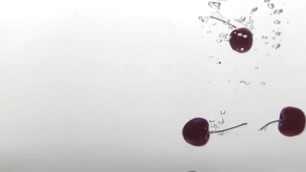 Red Cherry Dropping Water Splashing White Background — Stok video