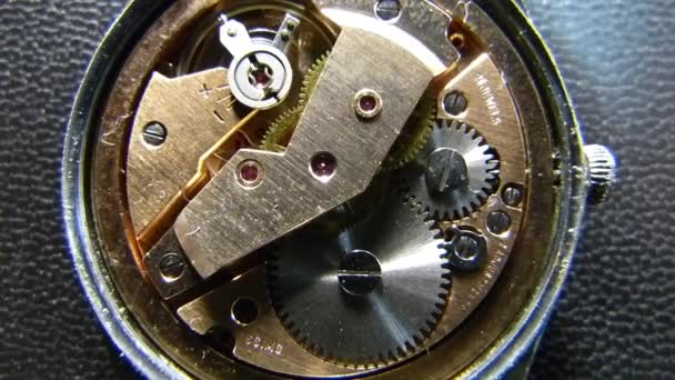 Macro Shooting Swiss Clockwork — Vídeos de Stock