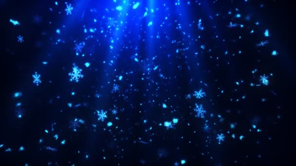 Елегантні Сніжинки Анімація Снігу Безшовною Петлею — стокове відео