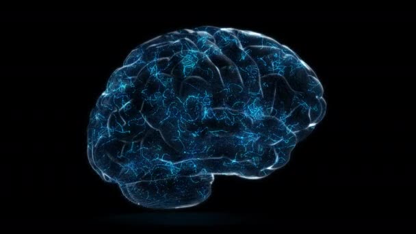 Brain Isolated Idea Problem Headache Concept — Video