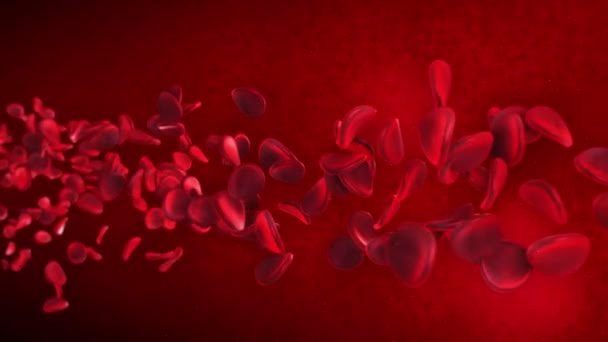 Boyutlu Animasyonda Kırmızı Kan Hücreleri — Stok video