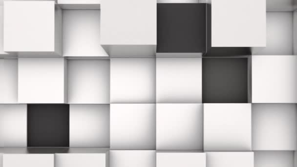 Animation Background Black White Blocks — ストック動画