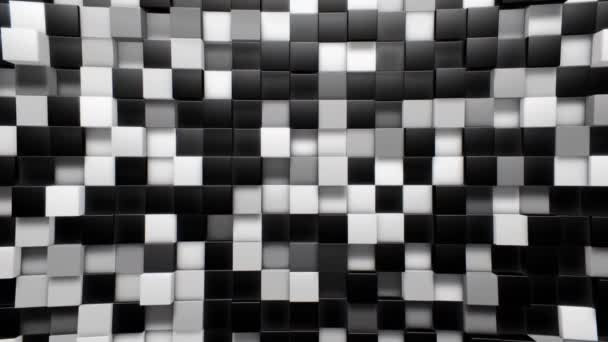 Abstract Background Loop Black White — Vídeos de Stock