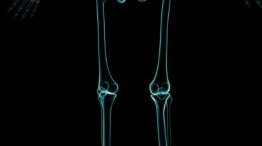 3 boyutlu bir animasyonda insan iskeletinin X-Ray 'i