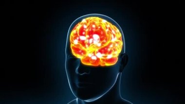 Human Brain X-Ray sparkling in a 3D animation