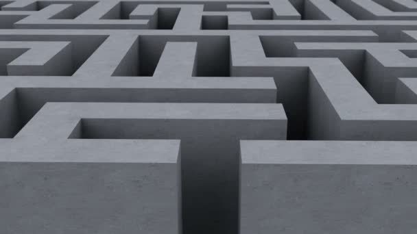 Front View Endless Loop Maze Labyrinth — Vídeos de Stock