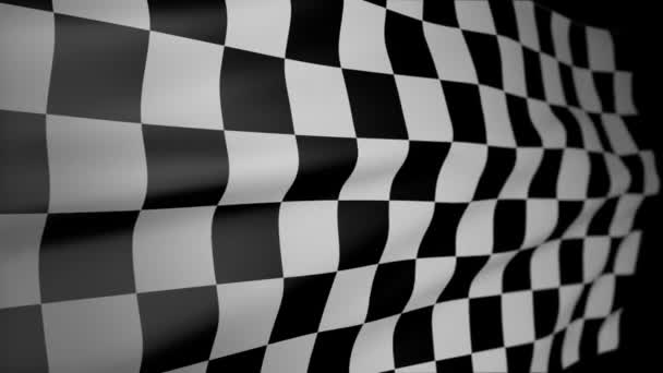 Checkered Finish Line Race Flag Black White — Vídeo de Stock