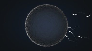 3 boyutlu animasyonda Sperm Yarışları İnsan Yumurtasına Gidiyor