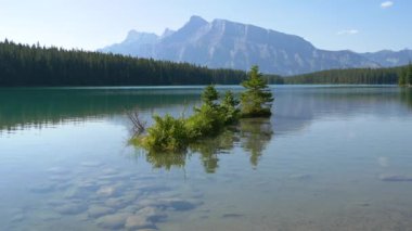 Trees and the Two Jack Lake in Banff National Park.