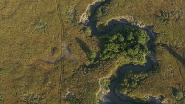 Aerial View Mara River African Plains — Stock Video