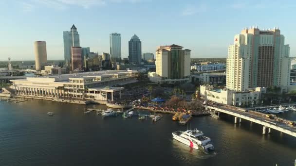 Aerial View Skyscrapers Waterfront Tampa — Video