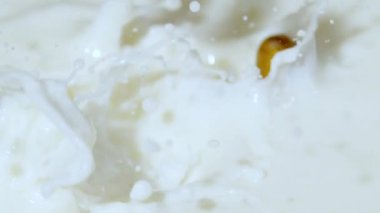 Extreme close up of hazelnuts being dropped into milk, Ultra Slow Motion